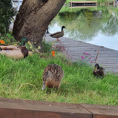 River Cottage Stoke Ferry 外观 照片
