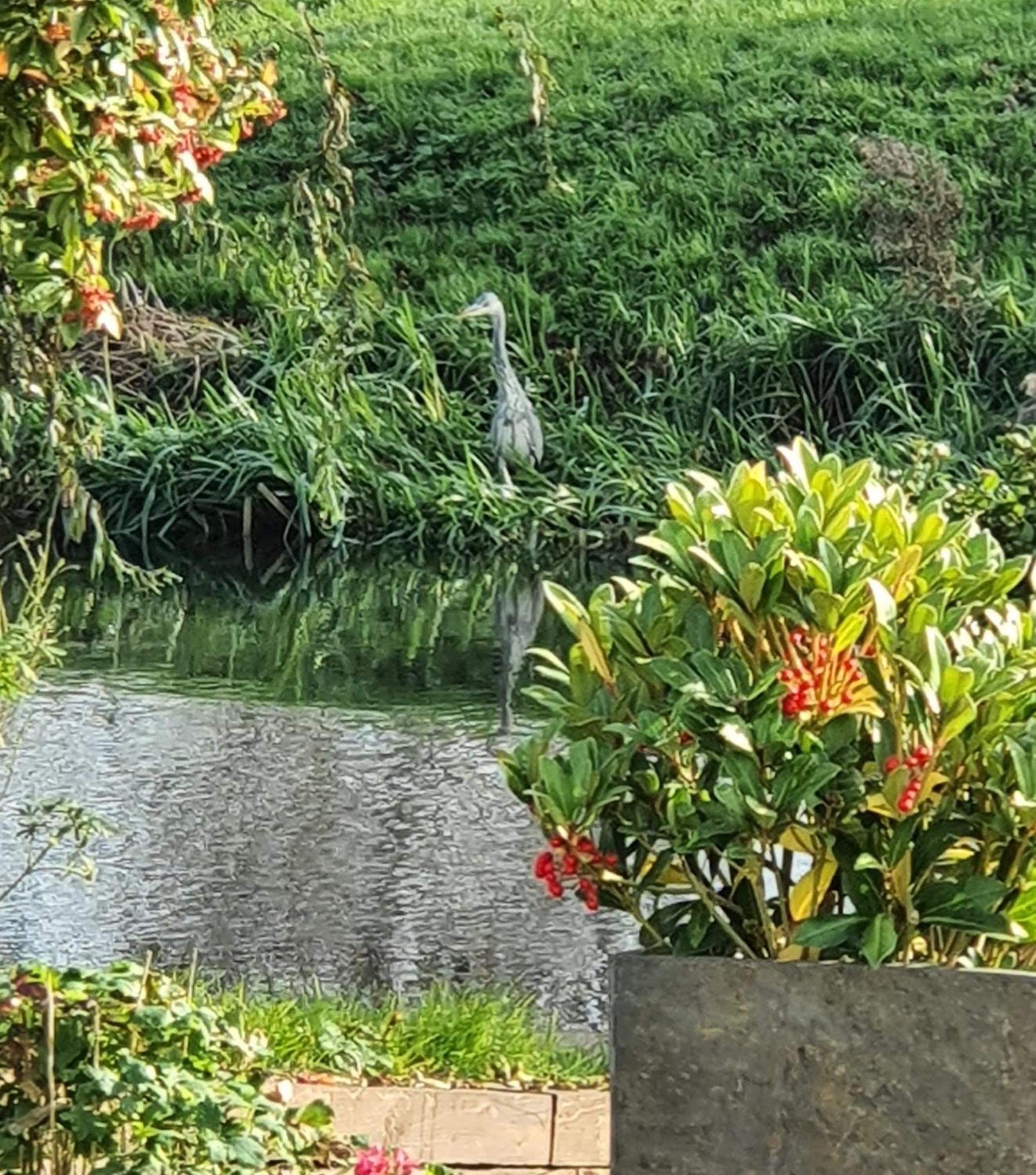 River Cottage Stoke Ferry 外观 照片